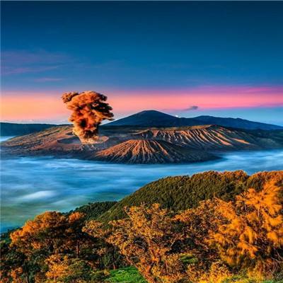 冒险大幻想手游